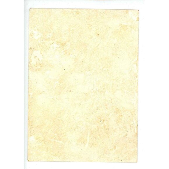 1880's Beautiful Victorian Embossed Springtime Blooming Flowers! - Picture 3 of 9